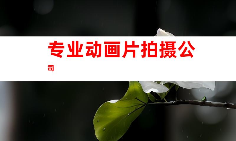 专业动画片拍摄公司