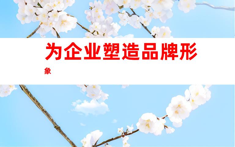 为企业塑造品牌形象