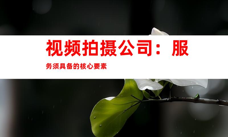 视频拍摄公司：服务须具备的核心要素